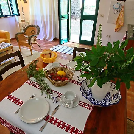 Holiday Il Moraiolo Tatil Evi